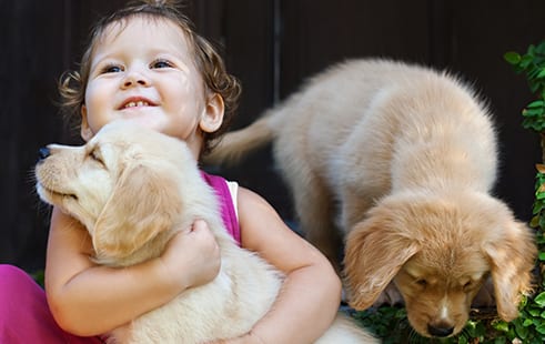 Photo Gallery in Kettering: Girl Playing with Puppies